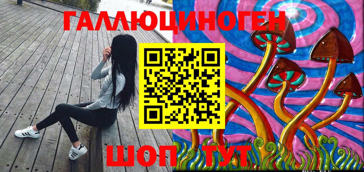 Новосибирск  Галлюциногенные грибы мицелий  Вход с VPN  Псилоцибиновые грибы мухоморы 